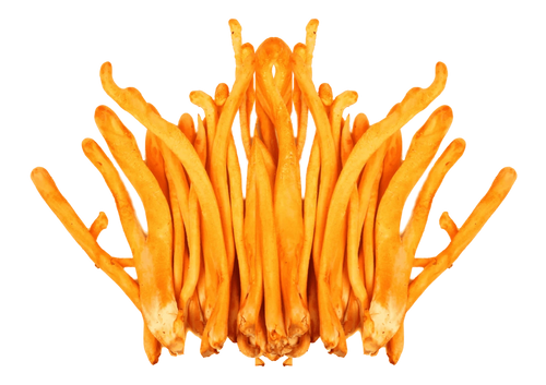Top Image