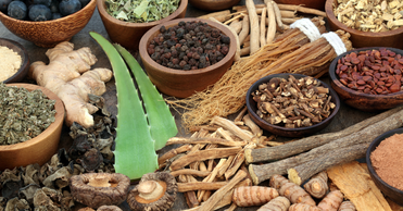 articles/adaptogen.png