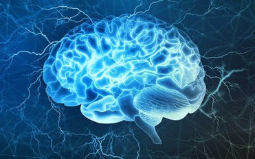 articles/nootropic-alpha-lipoic-brain-protection-neuron-creation_34c35516-e849-4a5a-b655-55ed77e0e16a.jpg