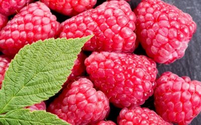 articles/raspberry-ketones-nutraceuticals_9ac7dbbf-0552-4841-935e-1a960d256e11.jpg