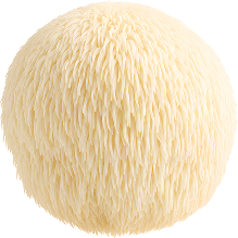 Lion's mane mushroom on a transparent background.