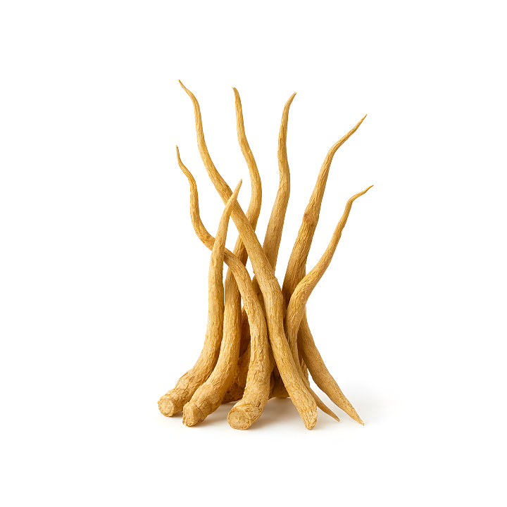 Ashwagandha root, an adaptogenic ingredient in Magic Mind.