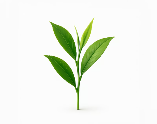 L-Theanine
