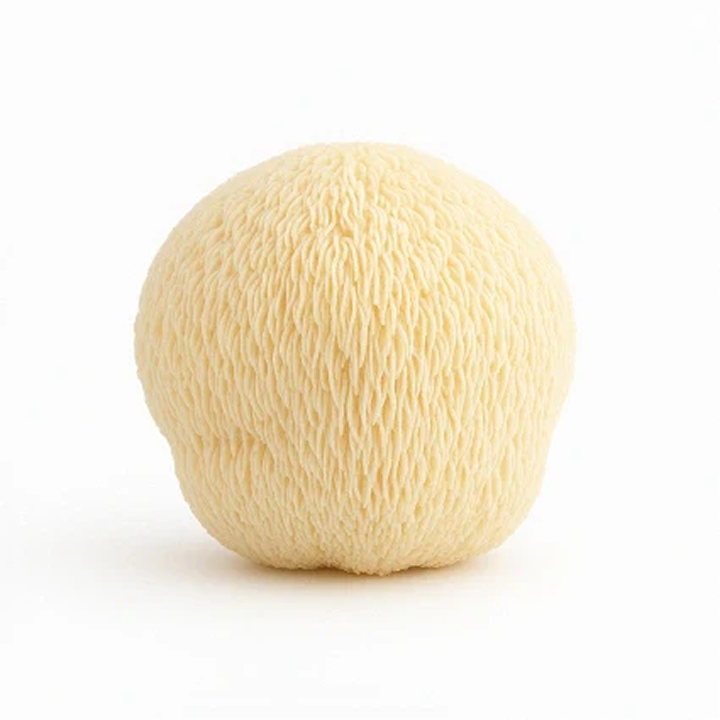 Lion's Mane mushroom, a brain-supporting ingredient in Magic Mind.